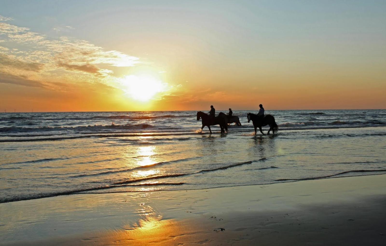 Mer Et Soleil A Blonville Sur Mer/ Deauville Luaran gambar